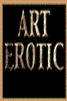 Art Erotic Top